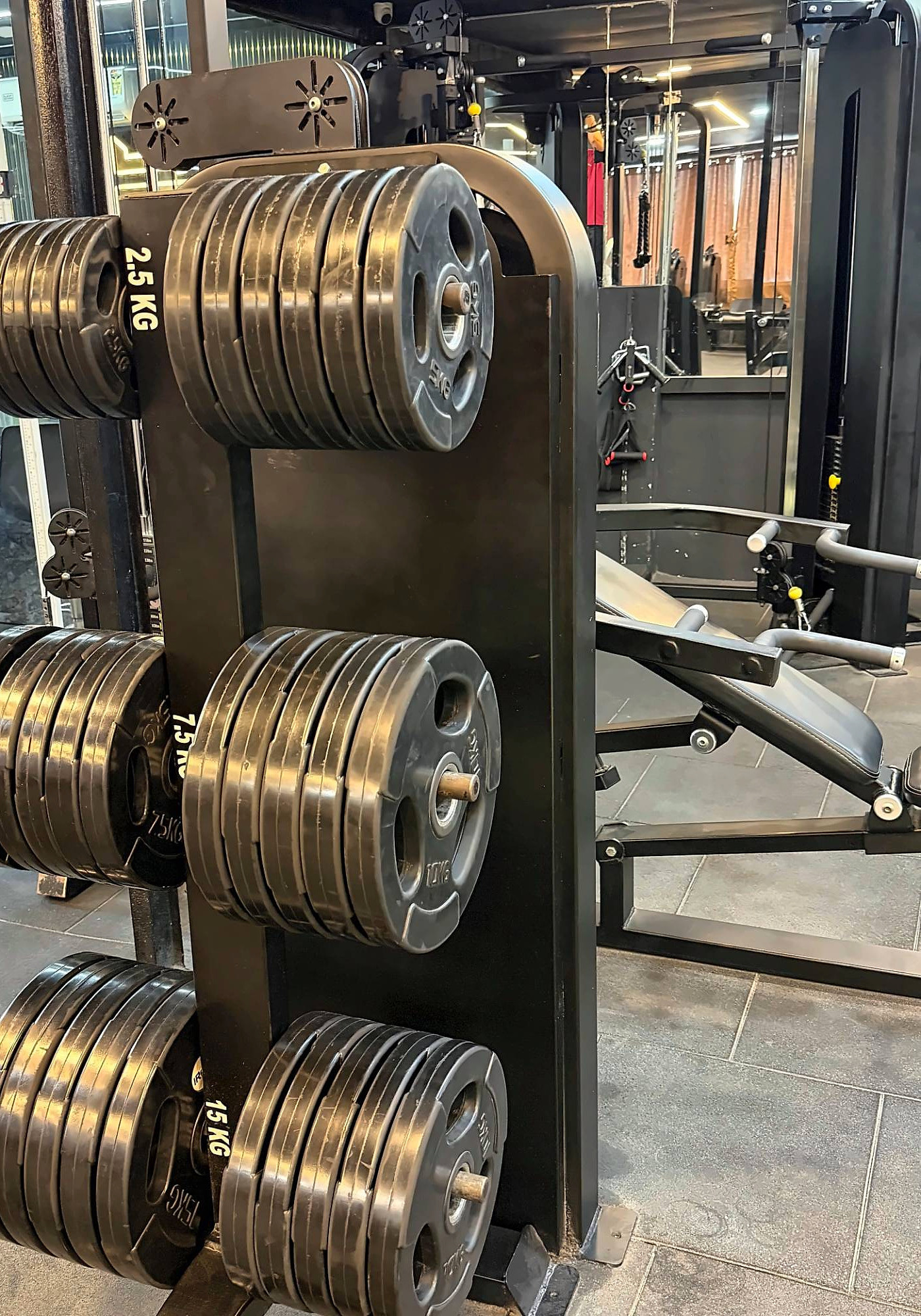 A weight plate tree loaded with 2.5 to 15 kg plates next to an adjustable bench